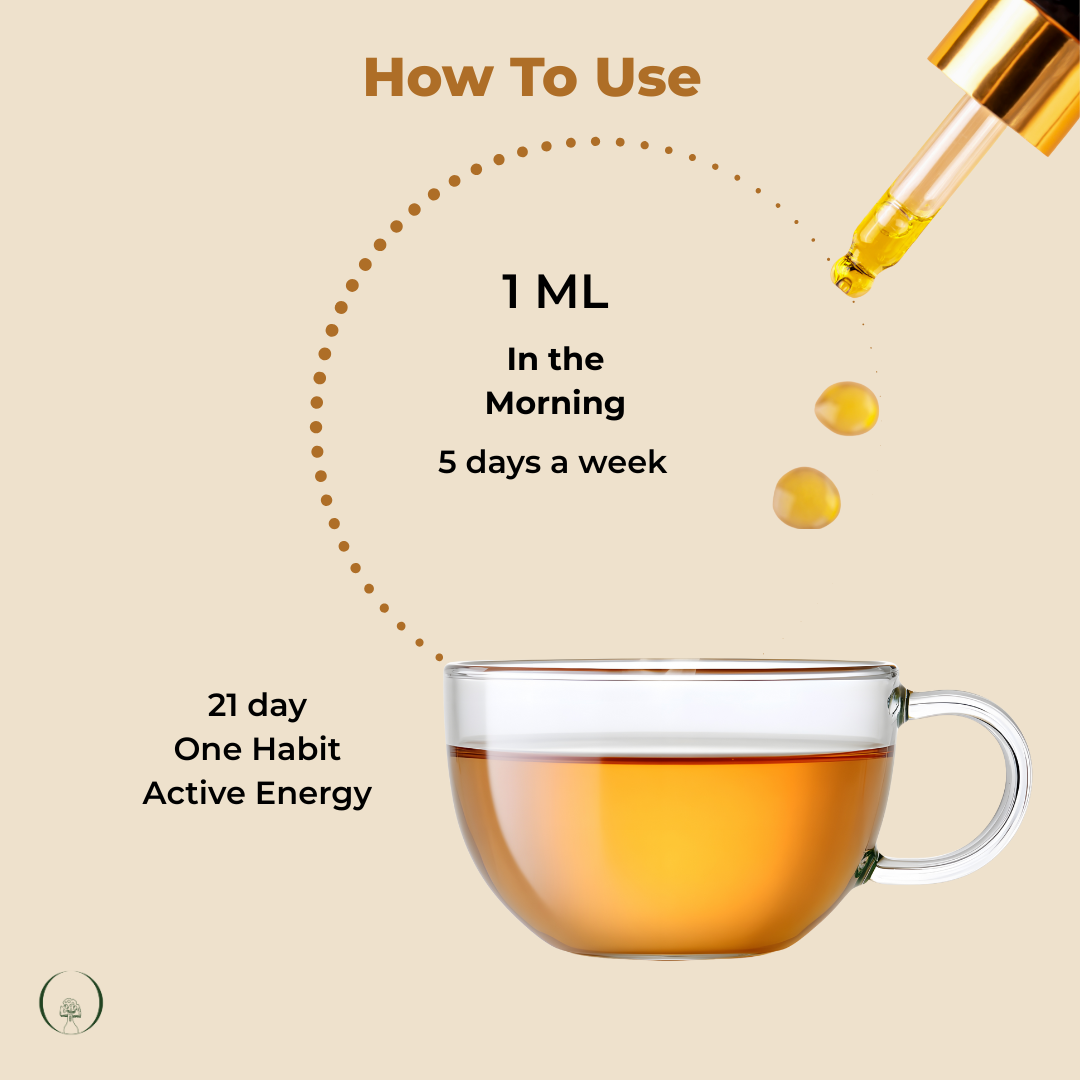 Cordyceps Drops - Image 4