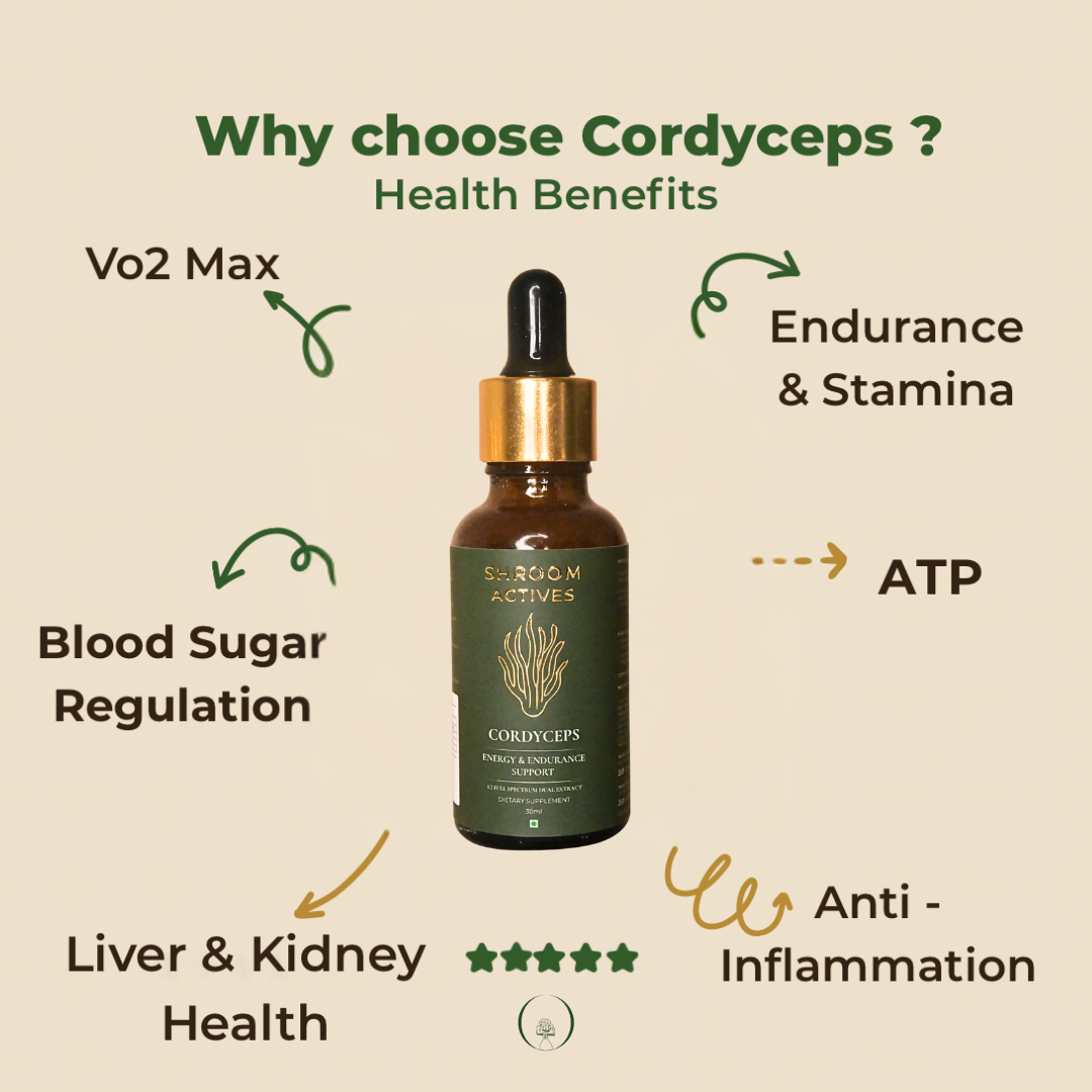 Cordyceps Drops - Image 3