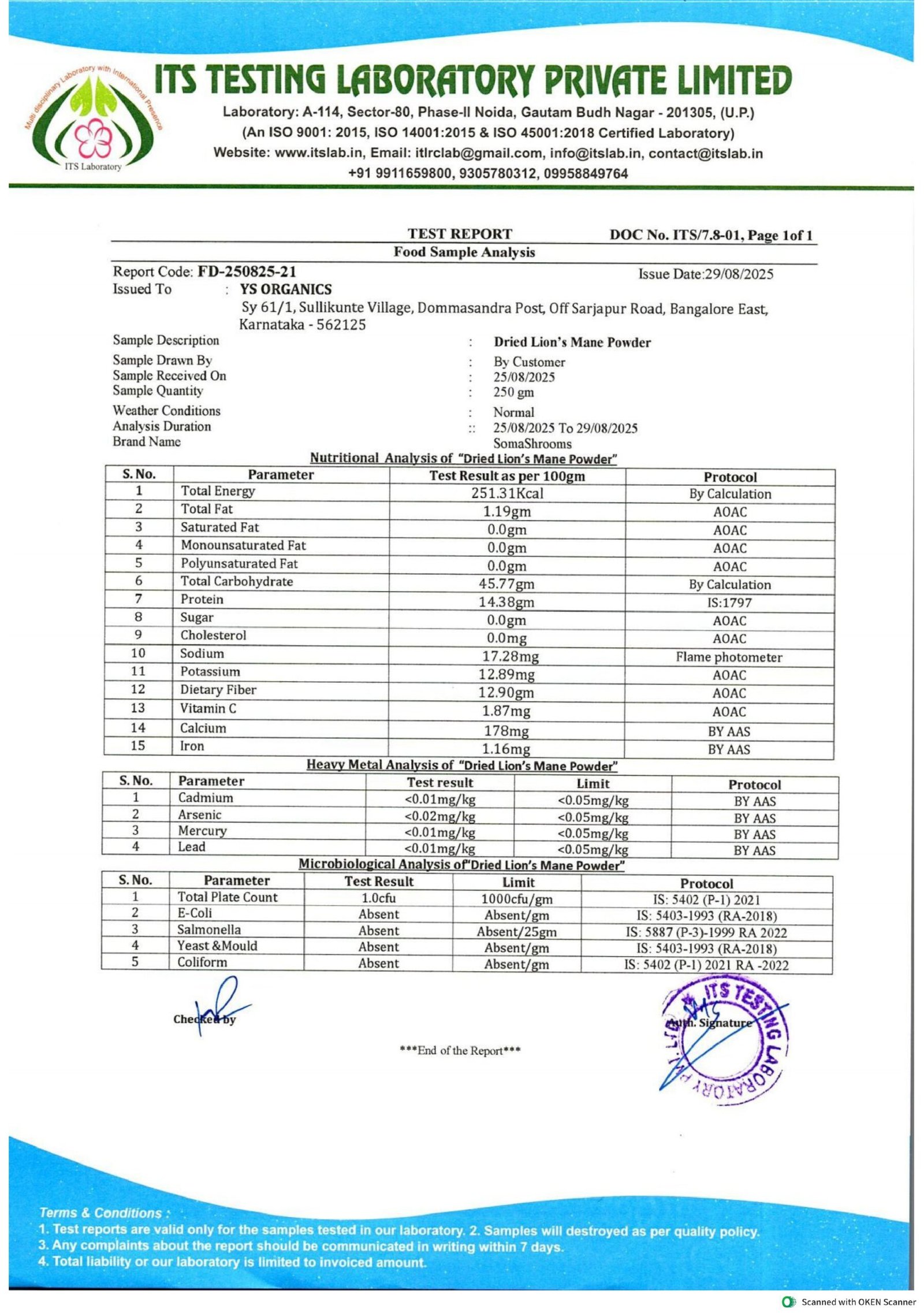 Lion's Mane Powder - Image 6