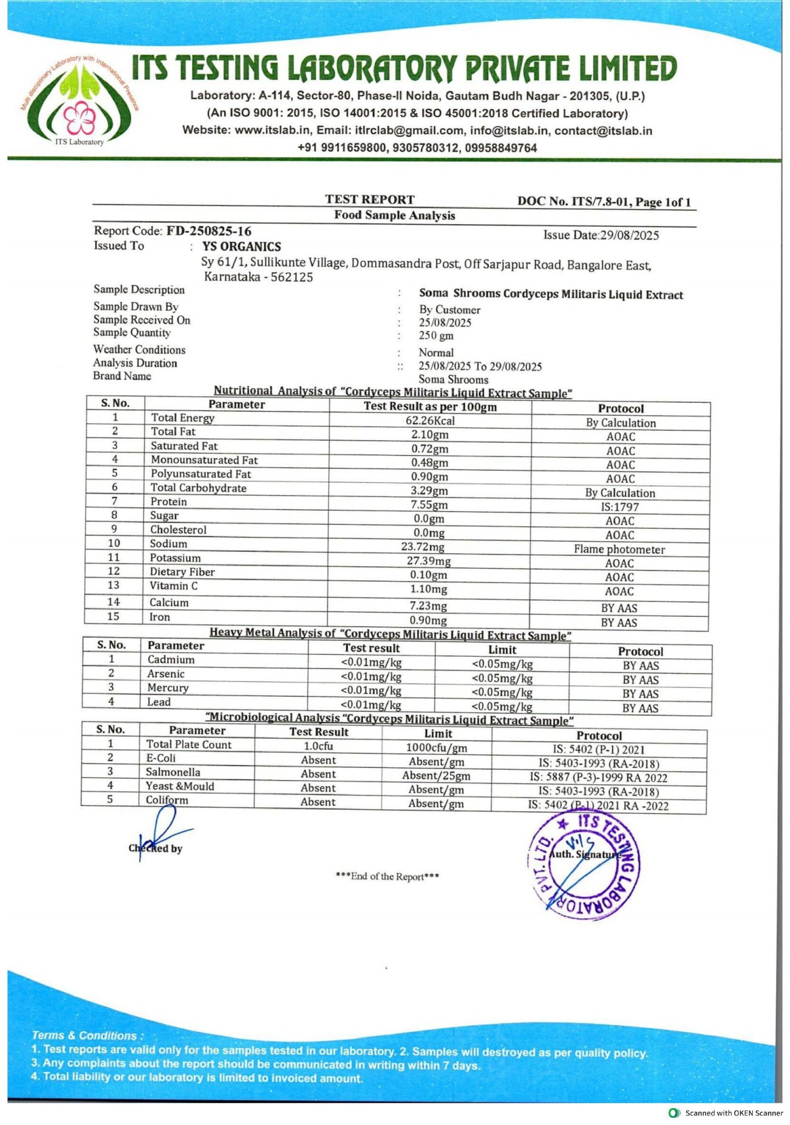 Cordyceps Drops - Image 6