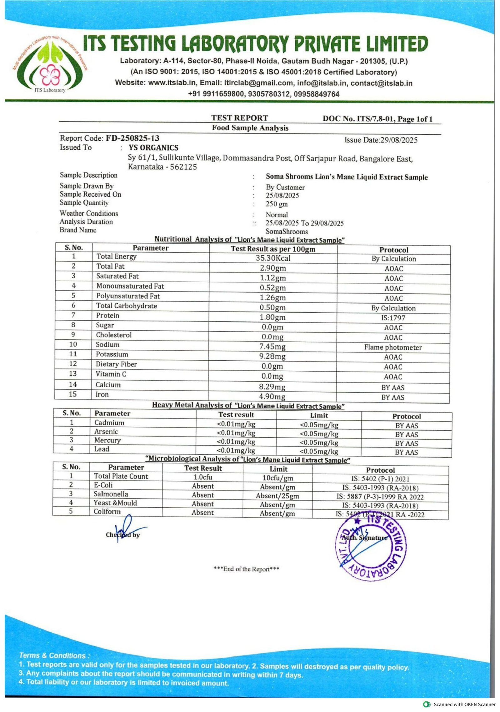 Lion's Mane Drops - Image 5