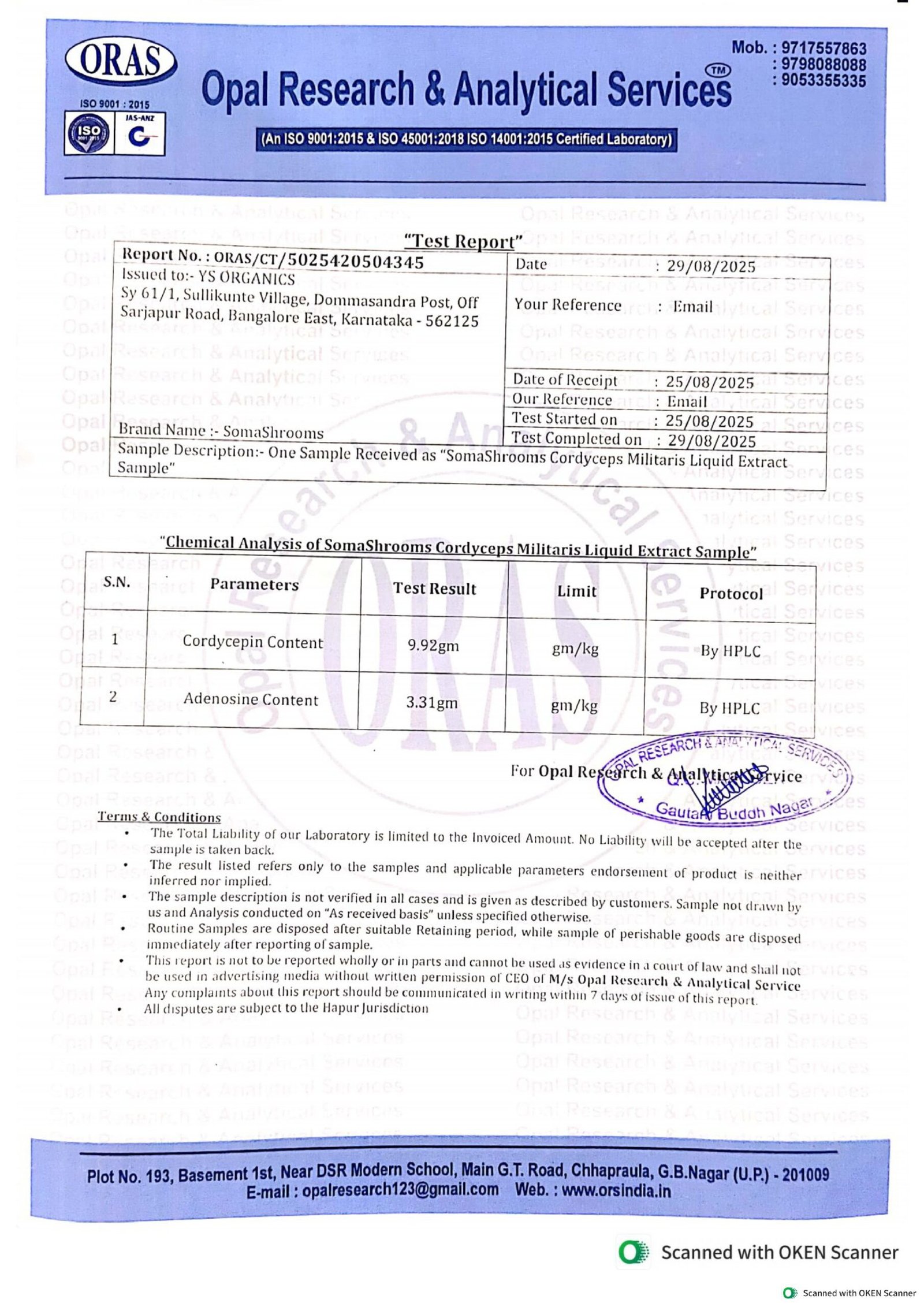 Cordyceps Drops - Image 5