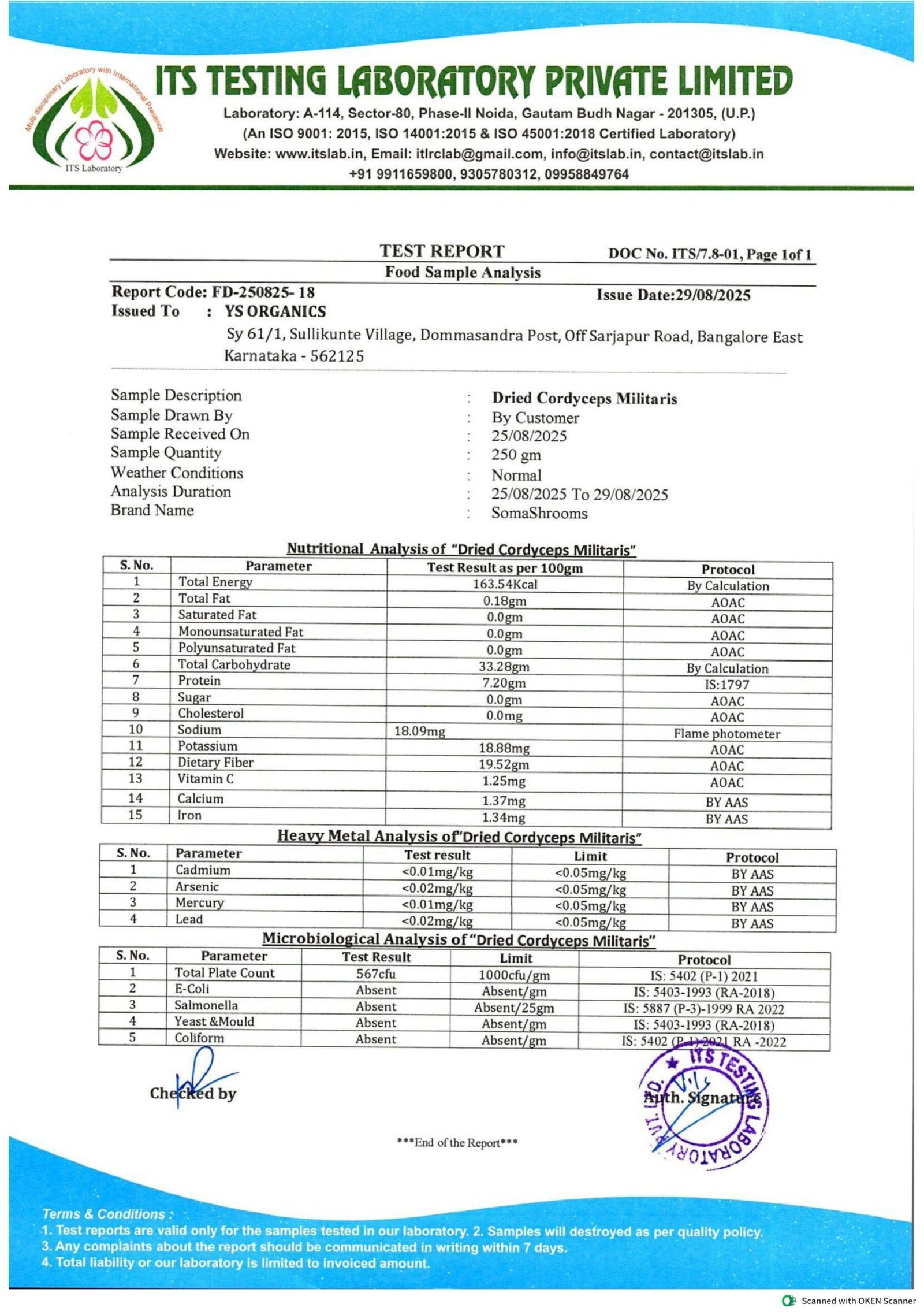 Cordyceps Powder - Image 5