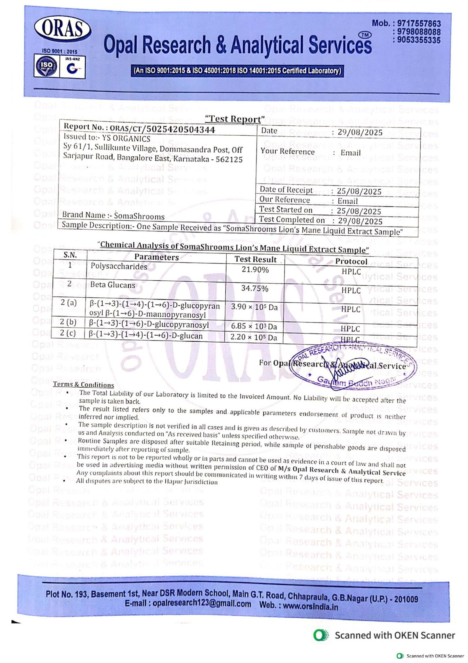 Lion's Mane Drops - Image 6