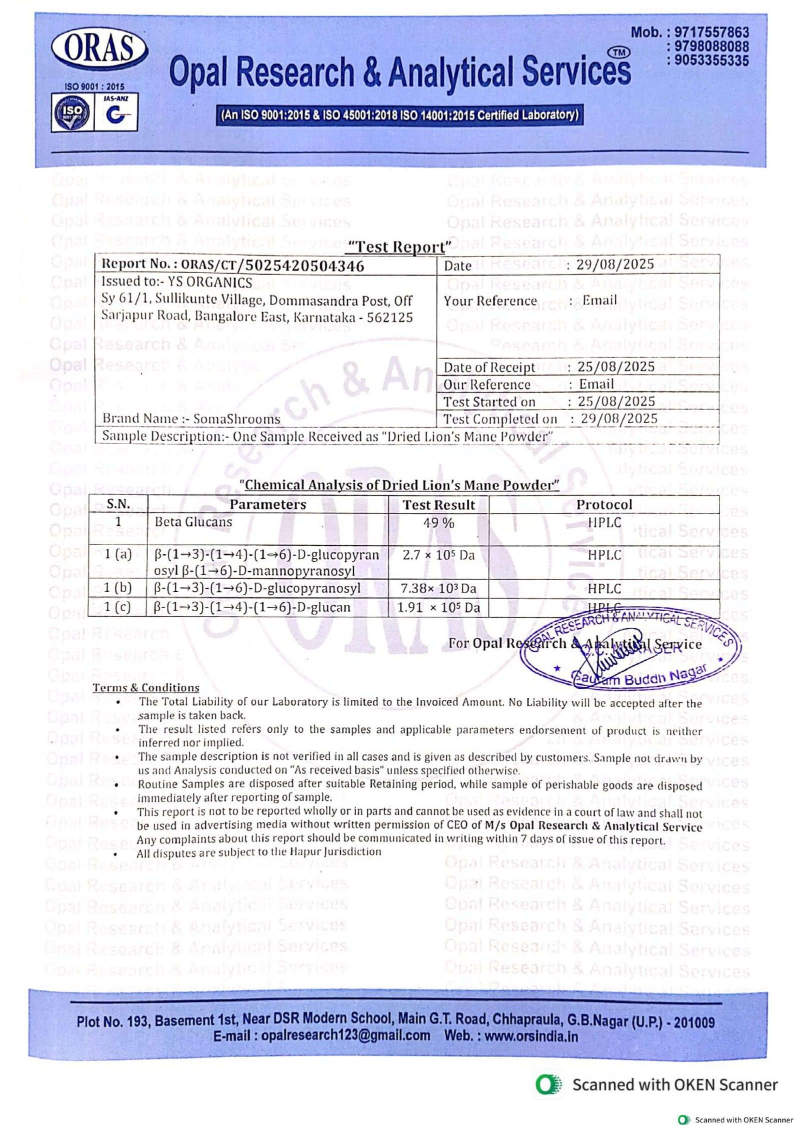 Lion's Mane Powder - Image 5