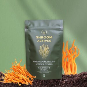 Cordyceps Powder