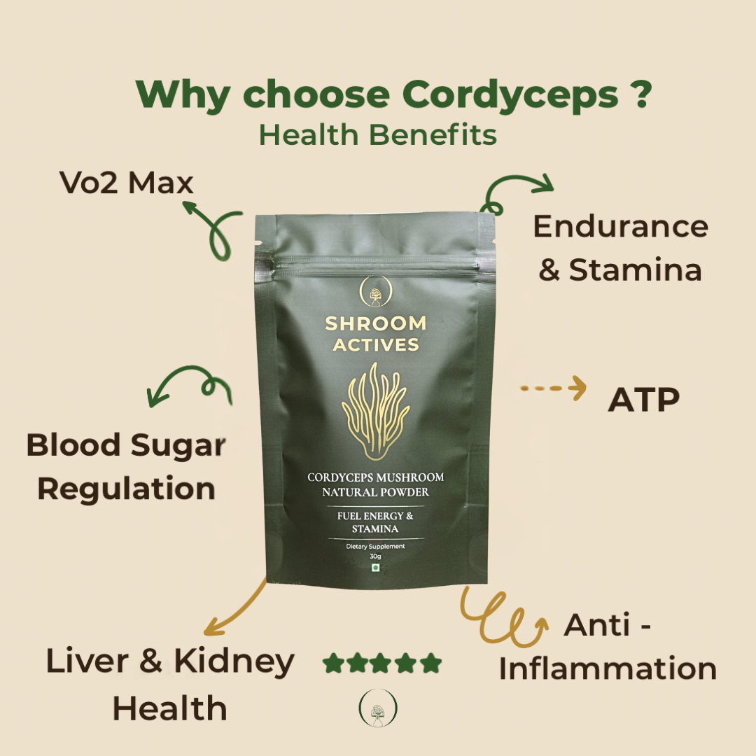 Cordyceps Powder - Image 3