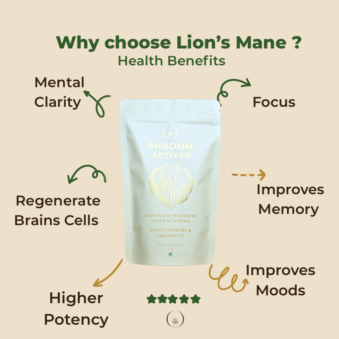Lion's Mane Powder - Image 3