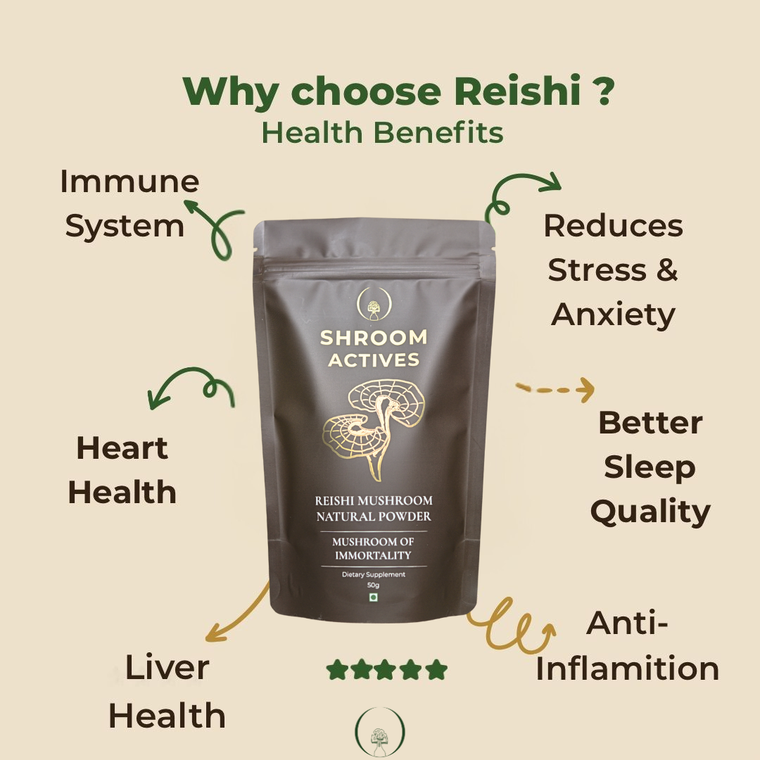 Reishi Powder - Image 3