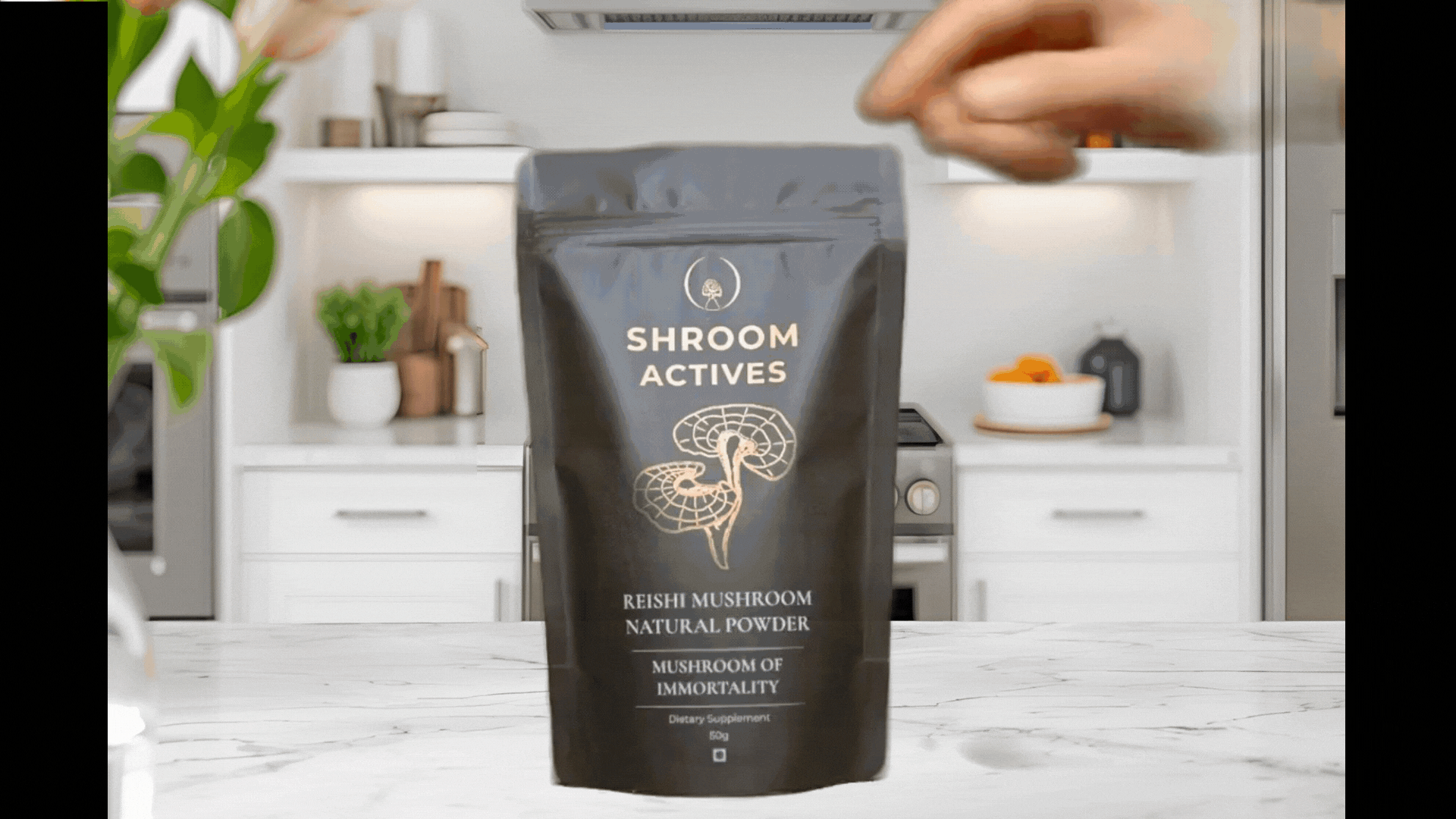 How to use Reishi Powder
